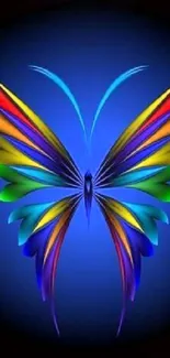 Vibrant butterfly with colorful wings on a blue background.