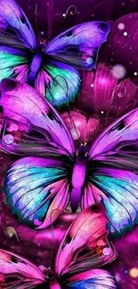 Vivid purple butterfly wallpaper with enchanting designs.