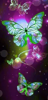 Colorful, vibrant butterflies on a purple background.