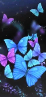 Blue and purple butterfly wallpaper for phones.