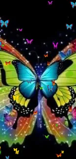 Colorful butterfly with vibrant wings on a black background wallpaper.