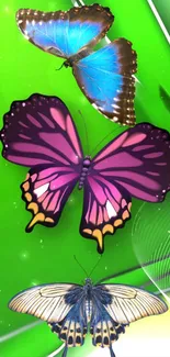 Colorful butterflies on a vibrant green background, perfect for phone wallpaper.