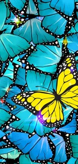 Yellow butterfly on blue butterfly background wallpaper.