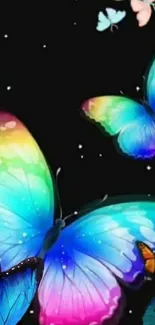 Colorful butterflies with vibrant wings on a dark background.