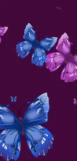 Vibrant blue and purple butterflies on a plum background wallpaper.