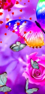 Colorful butterflies and roses wallpaper in vibrant purples and pinks.