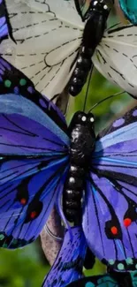 Vibrant blue butterfly wallpaper with detailed wings.