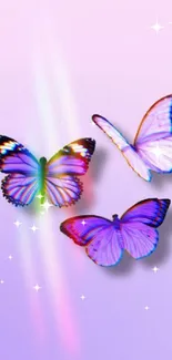 Three vibrant butterflies on a pastel pink and purple gradient background.