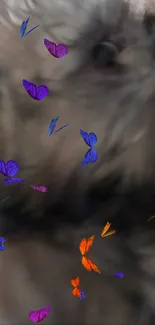 Vibrant purple and orange butterfly wallpaper on a gray blurred background.