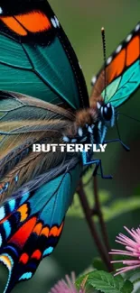 Vibrant butterfly with teal wings on a flower in a nature setting.