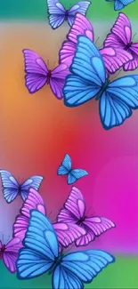 Vibrant wallpaper featuring blue and pink butterflies.