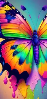 A vibrant butterfly with colorful wings on a phone wallpaper.