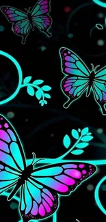 Colorful butterflies with turquoise glow on dark background.