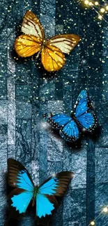 Colorful butterflies on a dark textured background with lights.