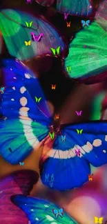 Vibrant butterfly wallpaper with vivid colors.