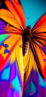 Colorful butterfly with vivid purple, orange, and blue wings.