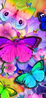 Colorful butterfly and flower wallpaper