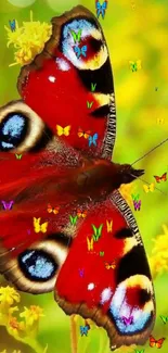 Vibrant red butterfly on yellow flowers wallpaper.