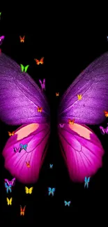 A vibrant purple butterfly artwork with colorful accents on a black background.