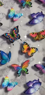 Colorful butterflies on a gray background wallpaper.