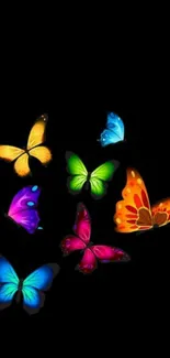 Vibrant butterfly wallpaper with colorful butterflies on a black background.