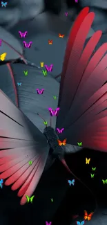 Vibrant butterfly wallpaper with colorful elements and red splash.