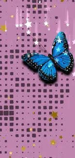 Blue butterfly on a purple background with stars wallpaper.