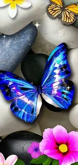 Vibrant blue butterfly with colorful flowers and stones wallpaper.