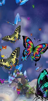 Colorful butterflies flying over an open book with a purple backdrop.