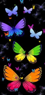 Colorful butterflies on black mobile wallpaper.