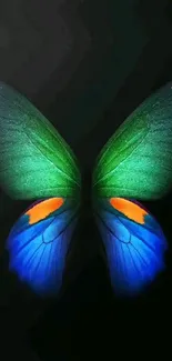 Butterfly with green and blue wings on a dark background.