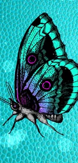 Vibrant turquoise butterfly on an artistic patterned background.