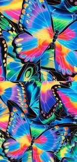 Colorful butterfly phone wallpaper with vibrant blue hues.