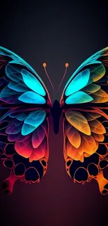 Vibrant neon butterfly mobile wallpaper with colorful wings.