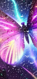 Vibrant butterfly with colorful wings and raindrops on phone wallpaper.