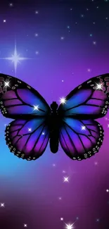 Vibrant purple and blue butterfly wallpaper for mobile.