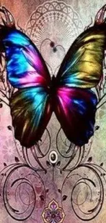 Vibrant butterfly with colorful wings on a decorative background.