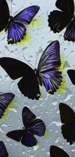 Dark butterflies with raindrop background on wallpaper.