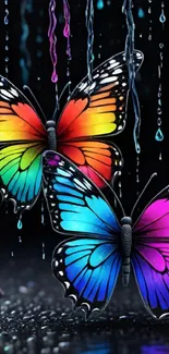 Colorful butterflies in rain wallpaper.