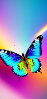 Vivid blue butterfly on a rainbow gradient background.