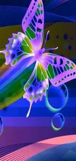 Vibrant butterfly with rainbow colors on abstract background.