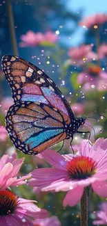 Butterfly on pink flowers with sparkling lights.