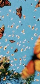 Fluttering butterflies in sky wallpaper.