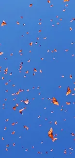 Orange butterflies flutter against a vivid blue sky.