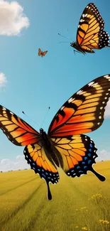 Colorful butterflies flying over a lush field under a bright blue sky.