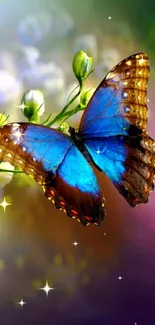 A vibrant butterfly with blue wings on lush green foliage.