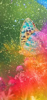 Colorful butterfly with splash of pink, orange, green, and blue hues on a digital wallpaper.