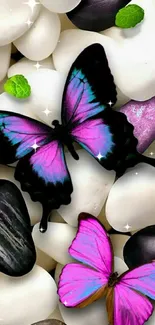 Colorful butterflies on stones wallpaper.