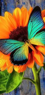 Blue butterfly on an orange sunflower with a vibrant green background.