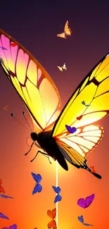 Vibrant butterfly with sunset glow on mobile wallpaper.